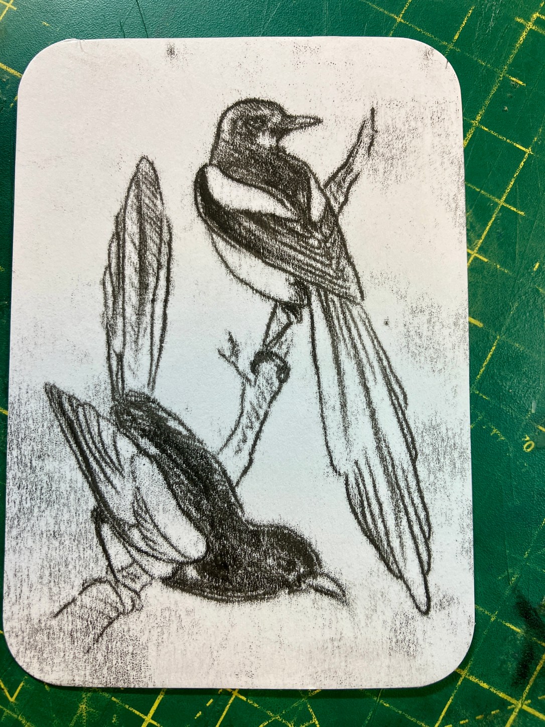 New Moon Art Card — Two&nbsp;Magpies