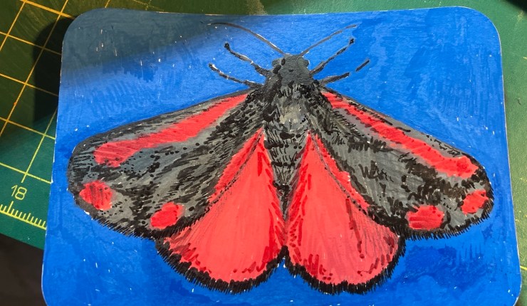 The Landscape Moth