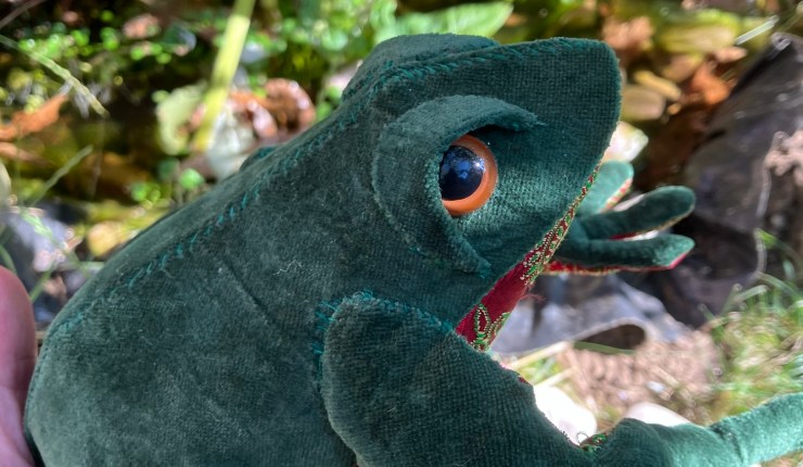 A Velvet Frog for&nbsp;France